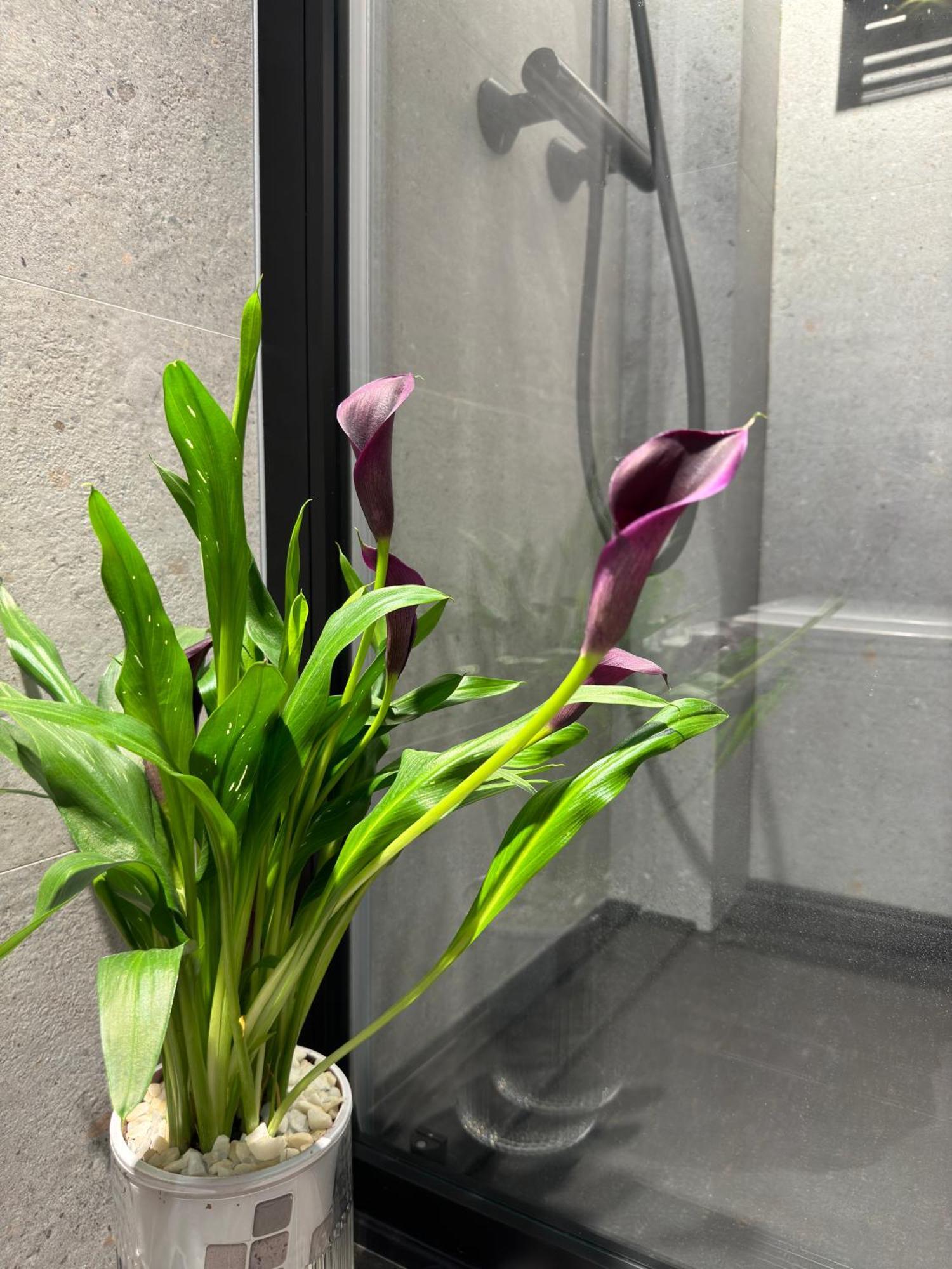 Luxury Apartment Y After Renovation In Cullera With Parking Екстериор снимка